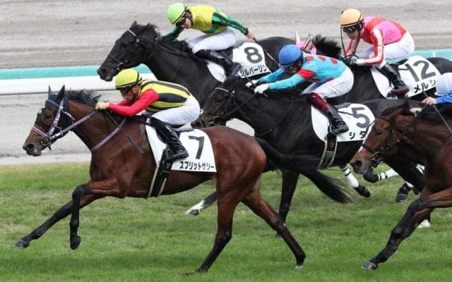 【新馬/阪神4R】ディープインパクト産駒 スプレットザシーがデビューV