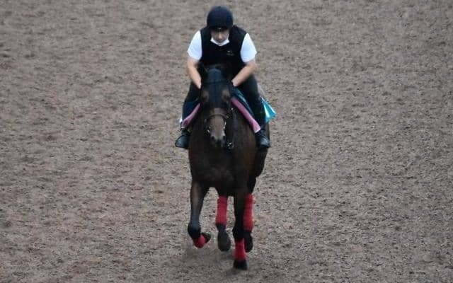 【JRA新馬戦】ダノンプラチナの全弟アスクヴィヴァユーなどがデビュー