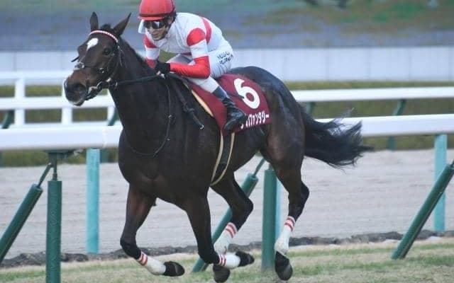 【スワンS出走馬・騎手確定】ダノンファンタジー＆川田将雅騎手、クリノガウディー＆岩田康誠騎手など18頭