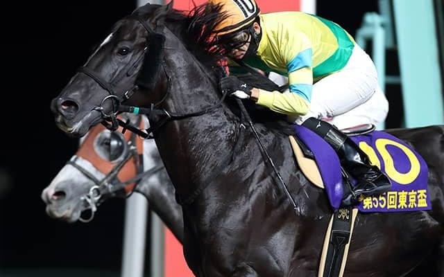 【金沢・JBCスプリント出走予定馬】重賞6勝サクセスエナジー、船橋アランバローズら
