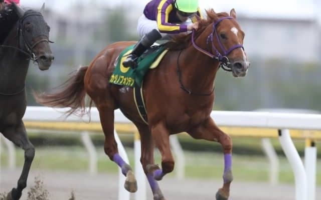 【金沢・JBCクラシック出走予定馬】3年連続2着オメガパフューム、船橋カジノフォンテンら