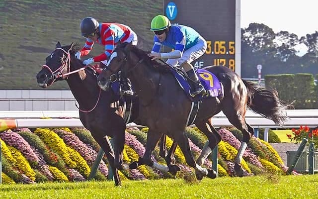 【天皇賞・秋 調教後馬体重】コントレイルは468kg、グランアレグリアは504kg