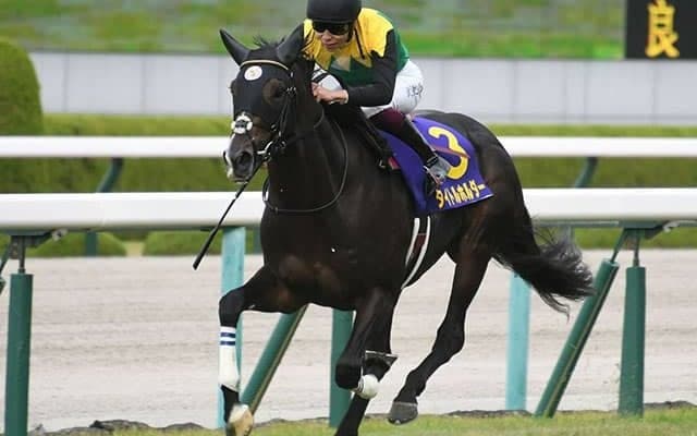 親仔5代GI級制覇と知人の入院/島田明宏