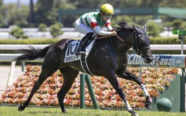 【アルテミスS枠順確定】フォラブリューテは6枠6番、ベルクレスタは2枠2番