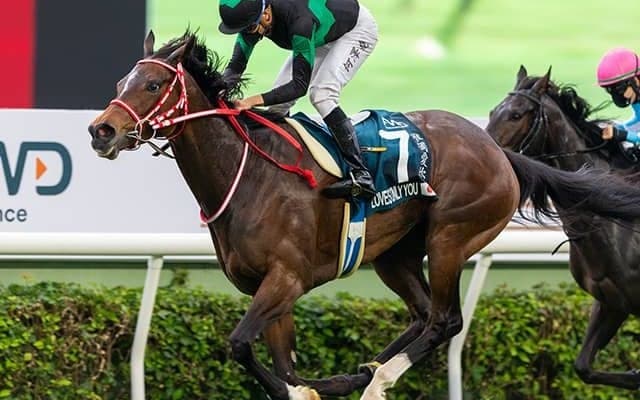 ブリーダーズカップに予備登録の日本馬発表、ラヴズオンリーユーなど8頭