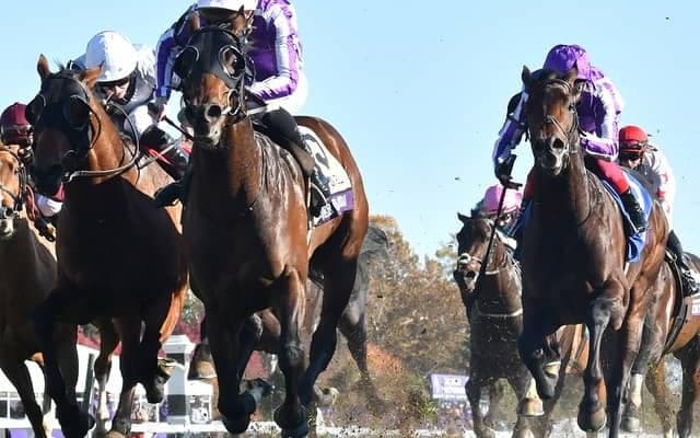 【海外競馬】昨年のBCマイル覇者オーダーオブオーストラリアが骨折で引退、種牡馬入り