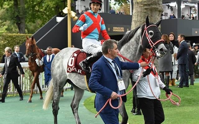 【次走】仏G1・フォレ賞3着のエントシャイデンは来年の京都金杯で復帰予定