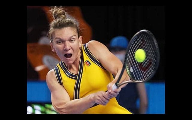 ハレプ 8強入りも背中を負傷か