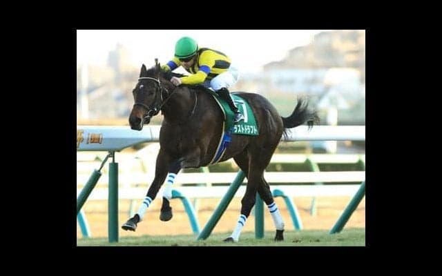 天皇賞・秋は人気２頭に不安あり。穴党記者が推奨する「好配当の使者」とは？