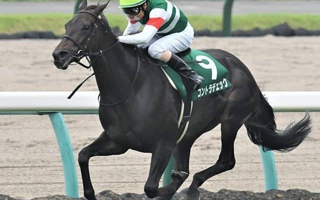 【次走】京成杯AH2着のコントラチェックは福島記念を視野