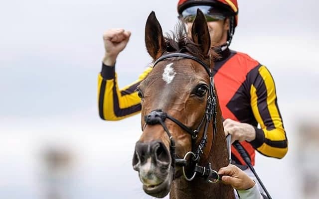 【天皇賞・秋】出走馬の馬名由来と香港表記を紹介、モズベッロは「冠名＋ハンサム」「魔族紳士」