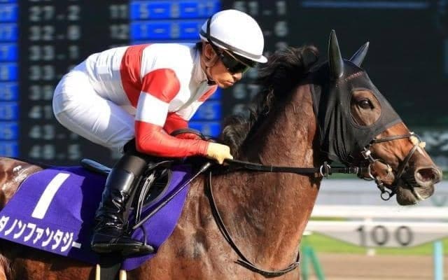【本日の注目ポイント】阪神でGI前哨戦・スワンS、東京で2歳牝馬重賞・アルテミスS