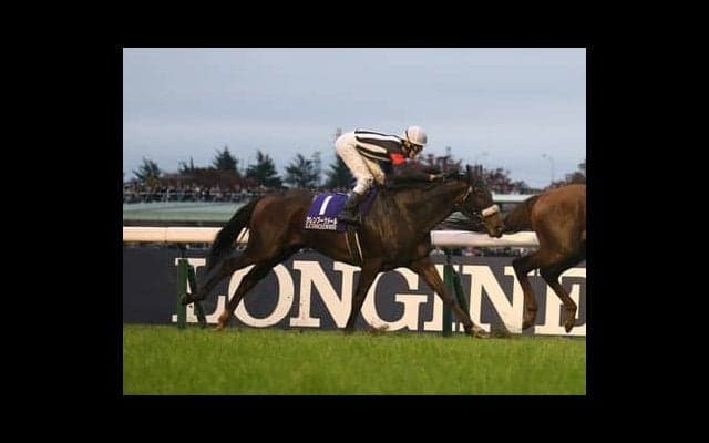 「３強」断然ムードの天皇賞・秋。「最強のシルバーコレクター」が一角崩しを狙う