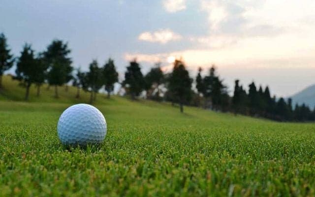 この女子プロは誰？　JLPGAの“シルエットクイズ”にファン予想「吉田優利プロかな」