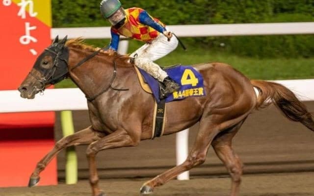 【金沢・JBCクラシック枠順確定】テーオーケインズは4枠4番、カジノフォンテンは7枠9番