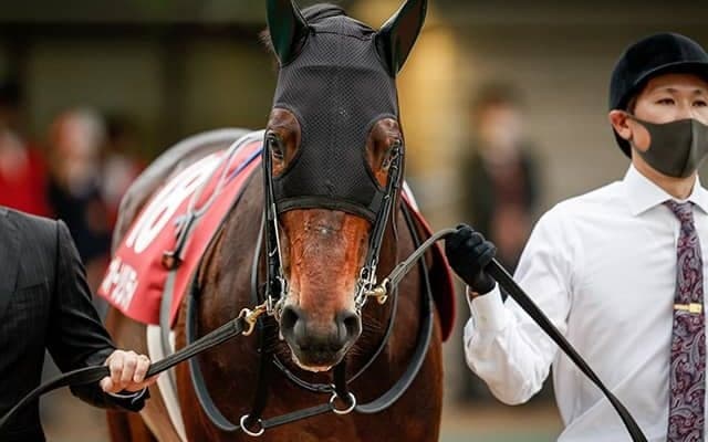 【アルゼンチン共和国杯想定】前年覇者オーソリティ、前走丹頂S2着ボスジラなど16頭