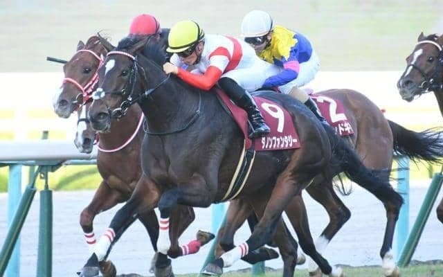 【スワンS結果】ダノンファンタジーが差し切って重賞6勝目！牝馬のワンツー