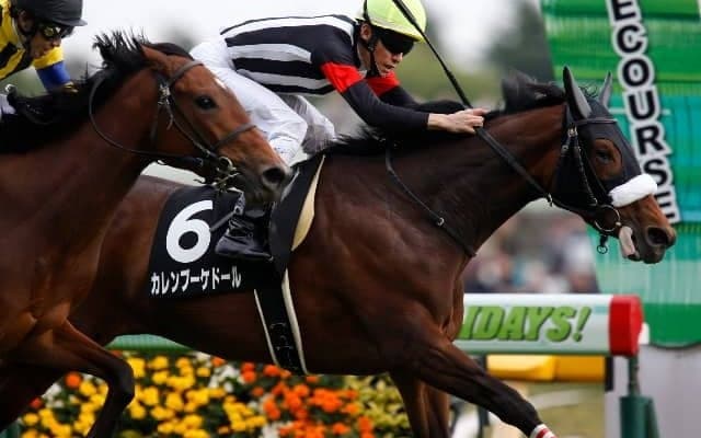 【天皇賞・秋予想】三冠馬か、マイル女王か、3歳馬か!? 三強対決に割って入る伏兵馬は…/JRAレース展望