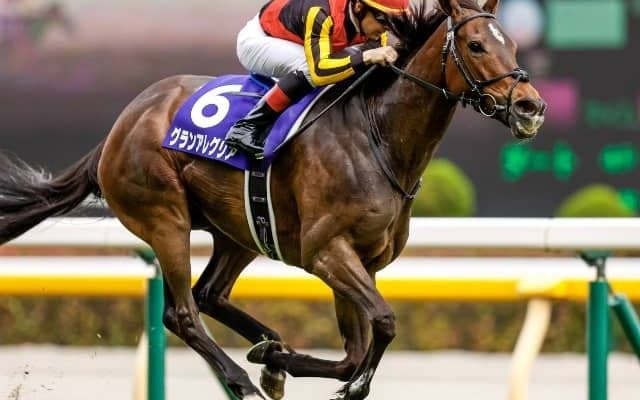 【天皇賞・秋予想】アーモンドアイを引き継ぐのは、やっぱり「あの馬」!? 人工知能が「3強対決」に断！