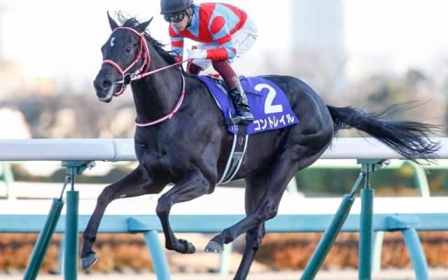 【本日の注目ポイント】天皇賞・秋でコントレイルら好メンバーが激突！