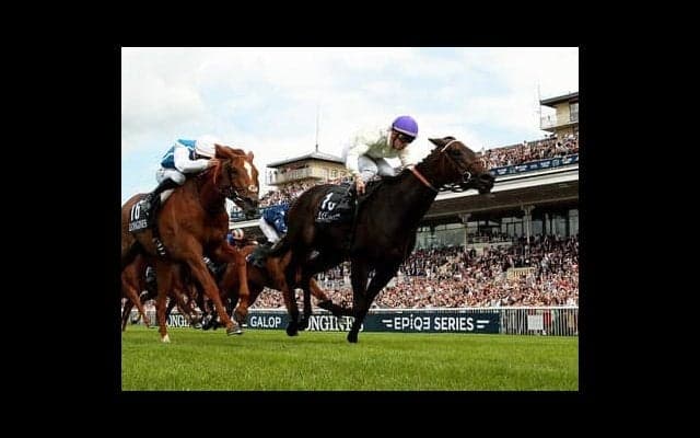 フランスで８戦８勝という名牝の弟、友道厩舎期待のアーティットがまもなくデビュー