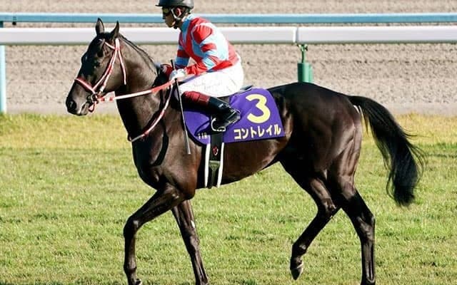 【天皇賞・秋 13時時点オッズ】コントレイルが単勝2.5倍の1番人気、グランアレグリア、エフフォーリアが続く