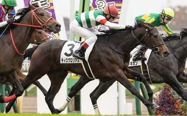 【東京5R新馬戦結果】ティズグロリアスが追い比べをハナ差制してデビュー勝ち