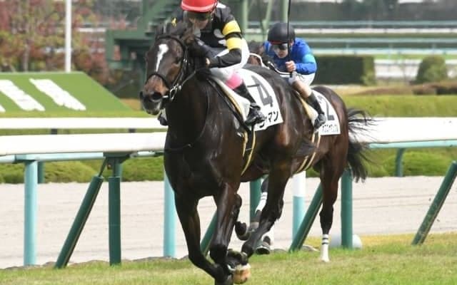 【阪神5R新馬戦結果】永島まなみ騎手騎乗、単勝万馬券のジャマンが逃げ切り4馬身差圧勝
