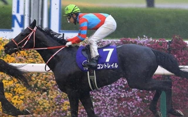 【天皇賞・秋・馬体重】コントレイルは464kg(-8)、エフフォーリアは514kg(+4)