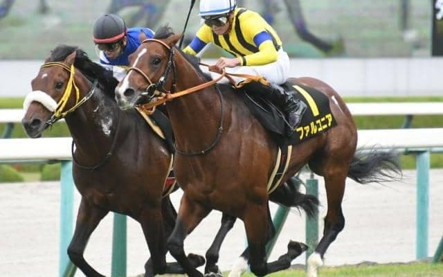 【カシオペアS結果】2番人気ファルコニアが内から抜け出してオープン初勝利