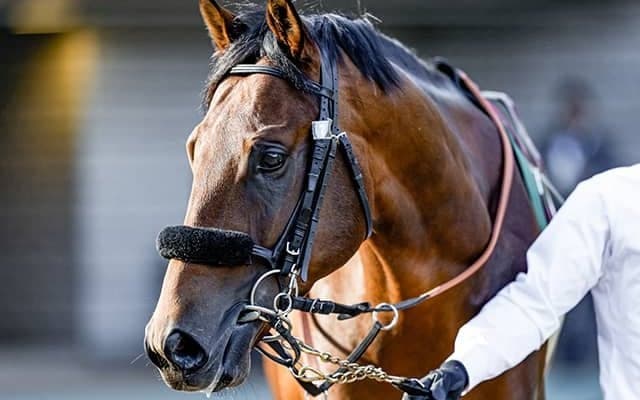 【天皇賞・秋結果】エフフォーリアが3強対決を制す！ シンボリクリスエス以来19年ぶり4頭目の3歳馬V