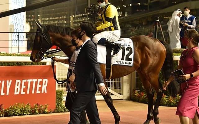 【BCマイル 出走見込馬】日本馬ヴァンドギャルド、アグネスゴールド産駒インラブなど