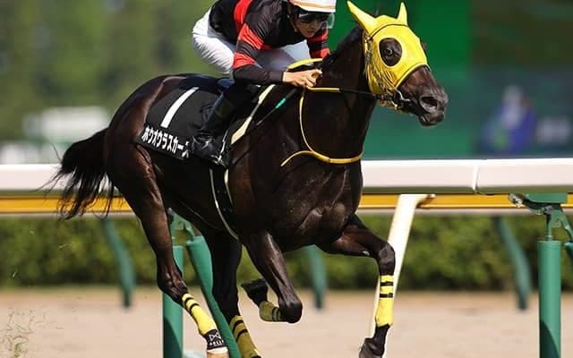 【JRA】2021年新潟リーディングは菅原明良騎手が圧勝！2位に12勝差の33勝