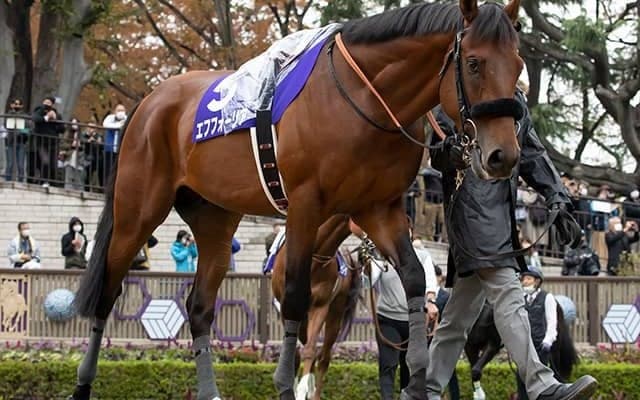 【天皇賞・秋】ベストターンドアウト賞はエフフォーリアが受賞
