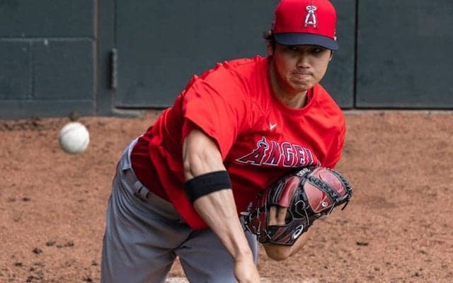 【MLB】「ブルペン」が「アーム・バーン」になる!?　動物保護団体が名称変更を提案