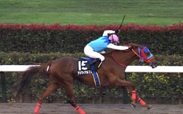 【河口湖特別】ルメール騎乗 アドマイヤルプスが3馬身半差で快勝