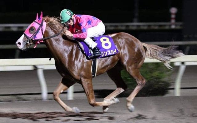 【高知・黒潮ジュニアチャンピオンシップ】マリンスカイがレースレコードで圧勝