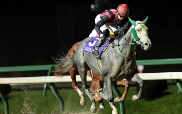 【盛岡・南部駒賞】北海道代表・エイシンシュトルムが完勝！