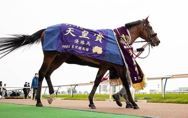 【天皇賞・秋】売上は223億4146万1800円で昨年からおよそ8.3億円の増加