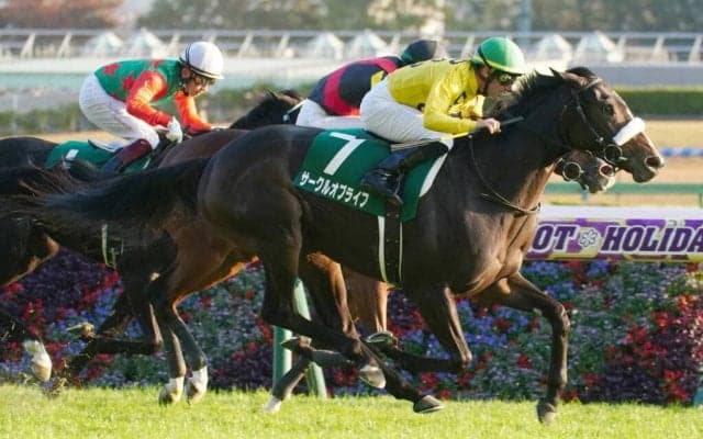 【アルテミスS】サークルオブライフが豪快に突き抜ける