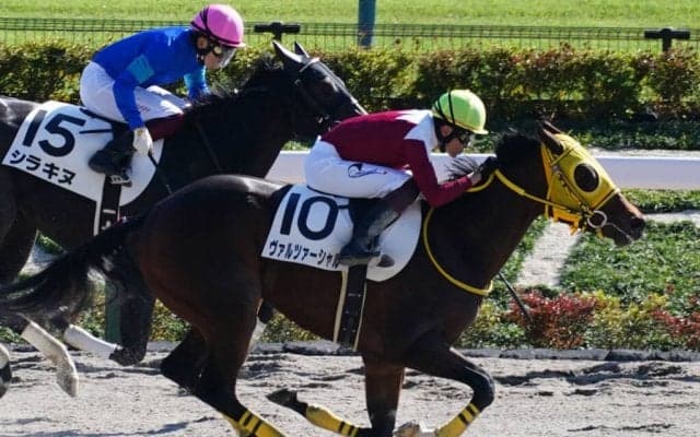 【新馬/東京6R】マクフィ産駒 ヴァルツァーシャルがデビューV