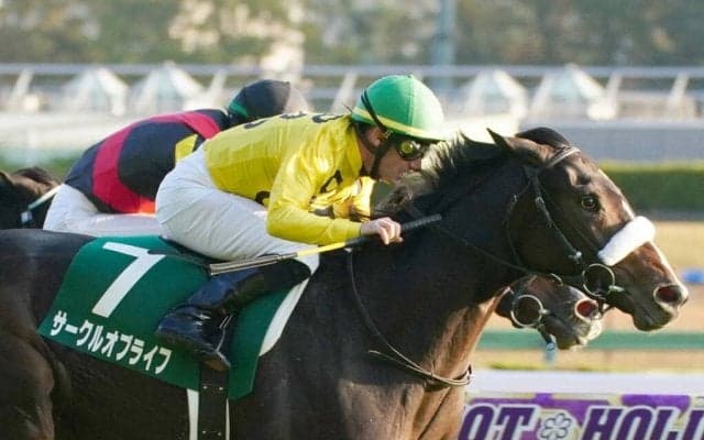 【アルテミスS】デムーロ「本当に期待しています」サークルオブライフが重賞初V