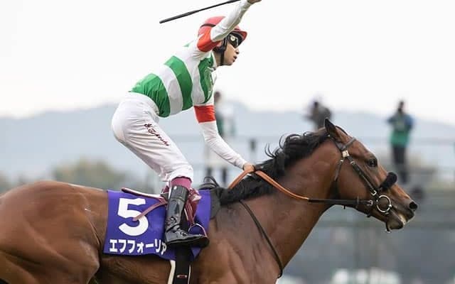 父は長めの距離に強いエピファネイア＆近親にはスピード豊かな馬が並ぶエフフォーリア