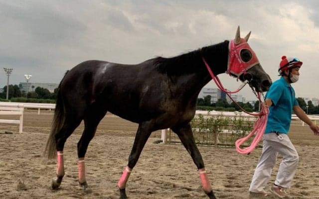 話題の「スモモモモモモモモ」が待望の初勝利