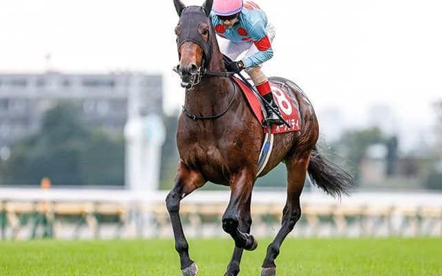 【アルゼンチン共和国杯想定騎手】オーソリティはC.ルメール騎手、ボスジラは田辺裕信騎手