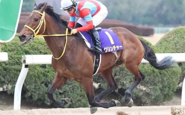 【みやこS想定騎手】クリンチャーは武豊騎手、オーヴェルニュは和田竜二騎手