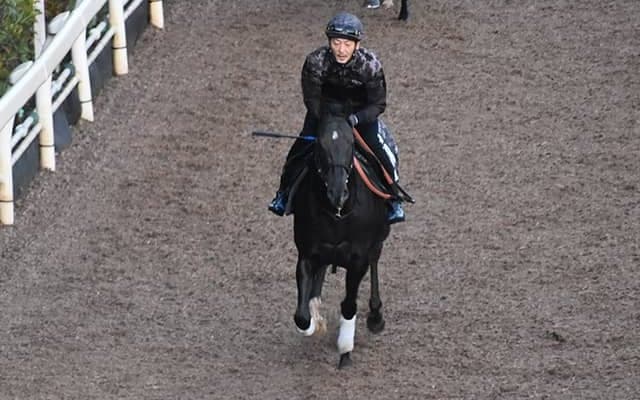 【ファンタジーS想定騎手】ナムラクレアは浜中俊騎手、ママコチャは藤岡佑介騎手