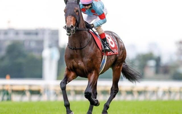 【アルゼンチン共和国杯予想オッズ】昨年覇者オーソリティがやや抜けた予想1番人気