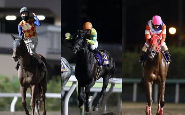 【JBC2021】今年は地方馬に馬券の妙味アリ!? ファン必見JBC4レースの有力馬と攻略法教えます！