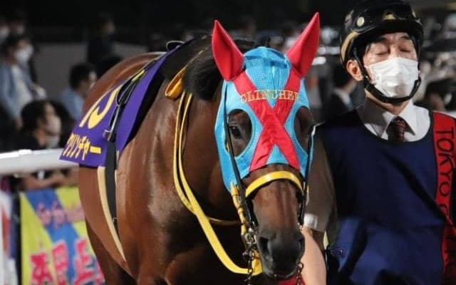 【みやこS予想オッズ】クリンチャーが予想1番人気、オーヴェルニュが続く